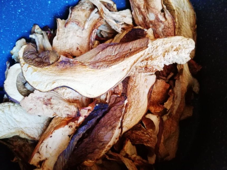 porcini secchi