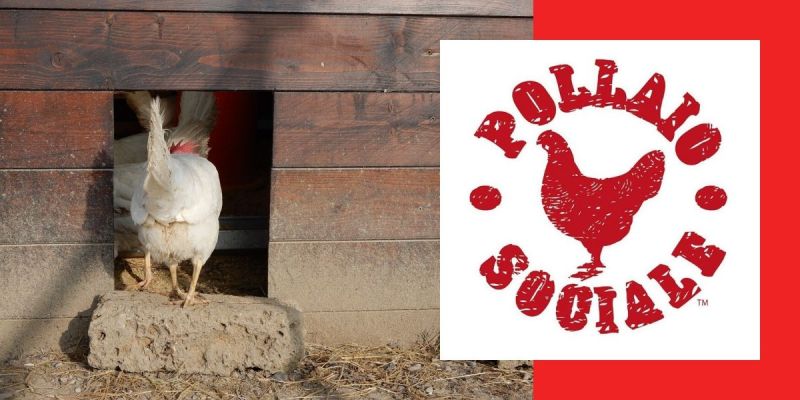 il pollaio sociale