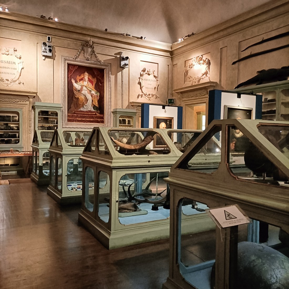 Visitare il museo Aldrovandi a Bologna