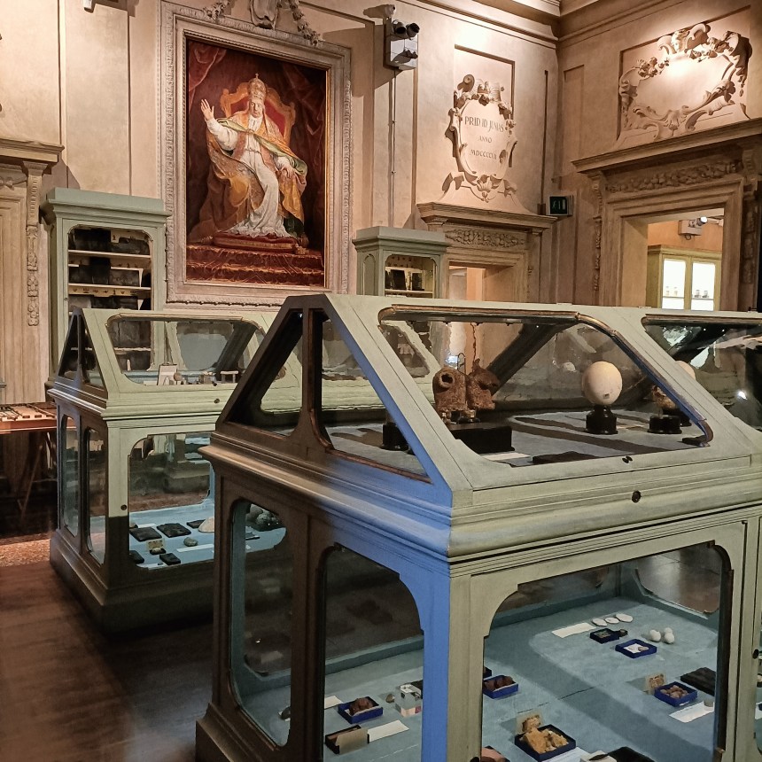 teche del museo aldrovandiano