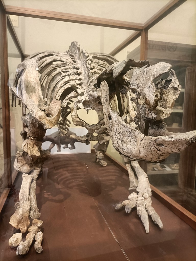 Museo Capellini Bologna