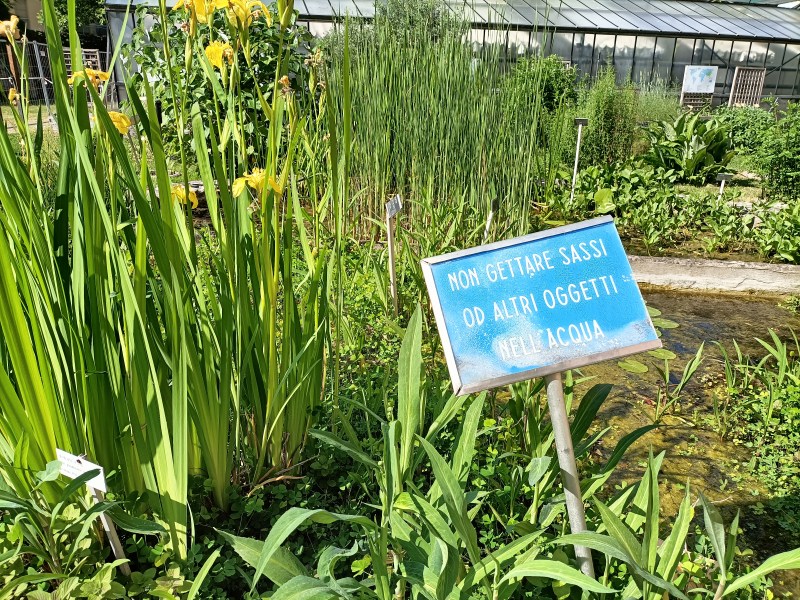Visitare l'orto botanico di Bologna
