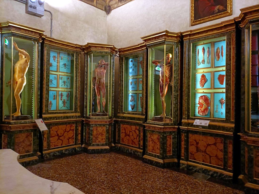 Bologna e la ceroplastica. Cere anatomiche Palazzo Poggi